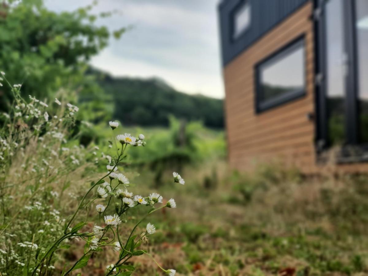 Pop Tiny House Balaton Apartment Kaptalantoti Bagian luar foto